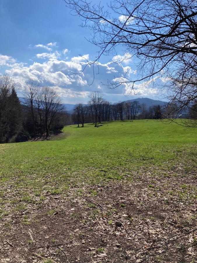 UBYTOVÁNÍ u BRABANTÍKA Desná Exterior foto