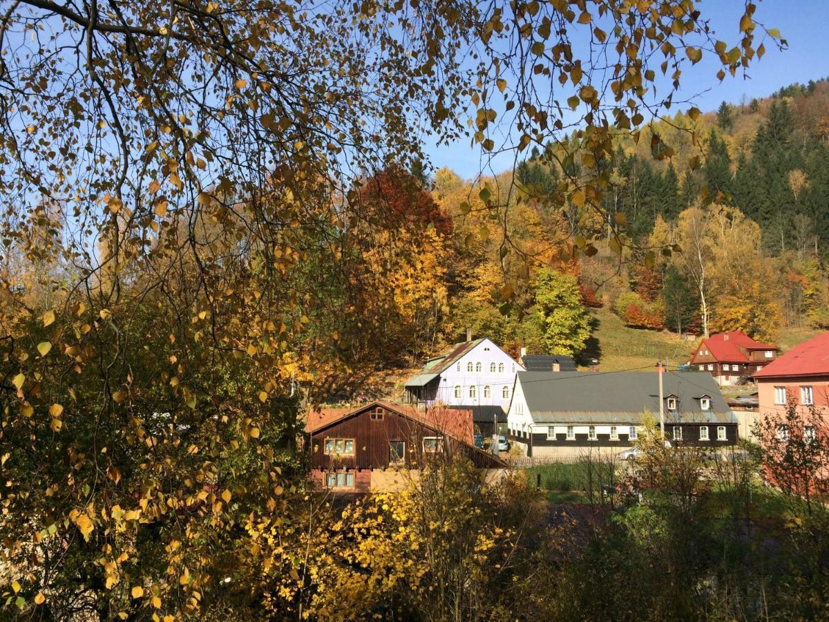 UBYTOVÁNÍ u BRABANTÍKA Desná Exterior foto